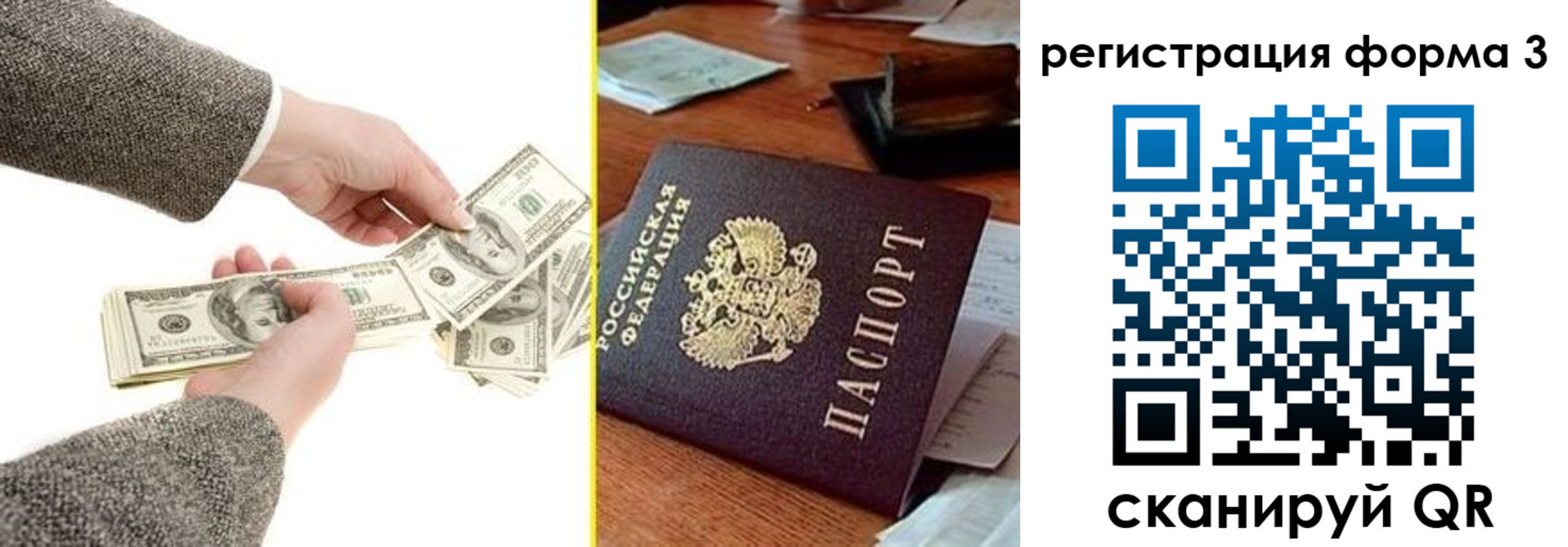 прописка гарантия в Зеленогорске